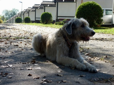 P1090029.JPG