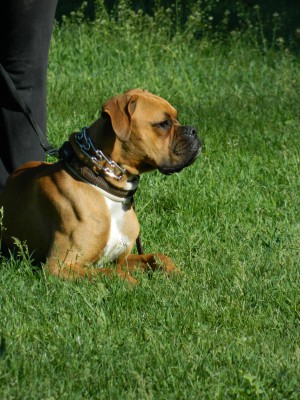 DSCN8455.jpg