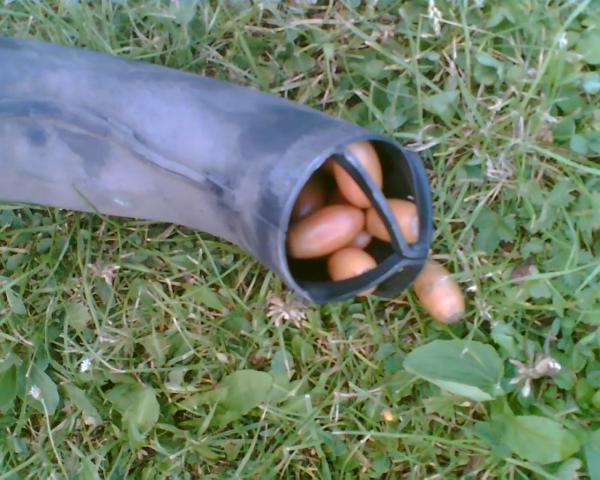 Obraz010.jpg