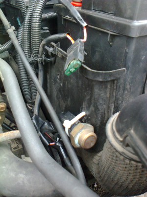termospínac.jpg