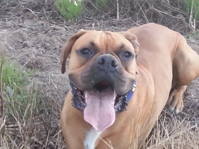 20120719_183950.jpg