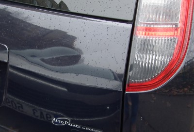 DSCF4516.JPG