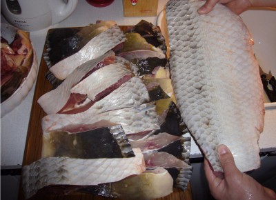 Vánoce 2008.jpg
