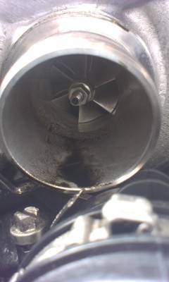IMAG0064.jpg
