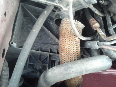 IMG_20130317_095408.jpg