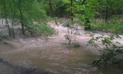 IMAG0927.jpg