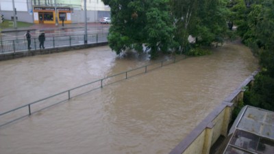 IMAG0345.jpg
