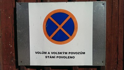 IMAG0294.jpg