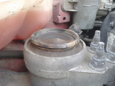 Foto_1