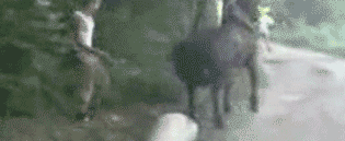 karma0005.gif