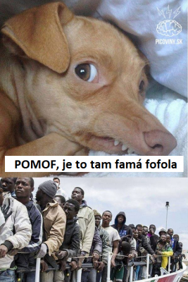 fofola.png