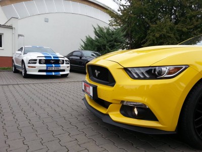 stang.jpg