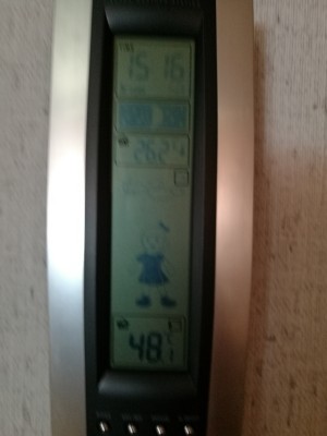 IMG_20170801_160557.jpg