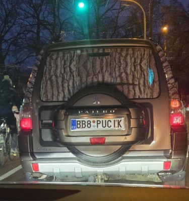 BB8PUCIK.jpg