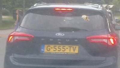 rz_g555tv.jpg