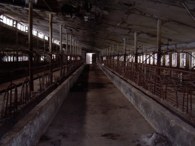 Kravín 3 roky po vstupu do EU!