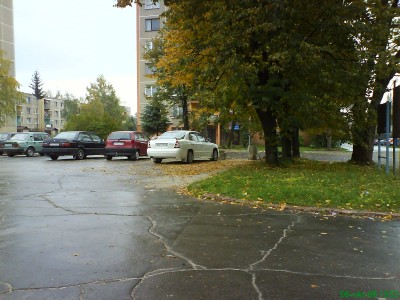 DSC00509.JPG