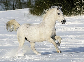 Tydle jsou tam schovaní