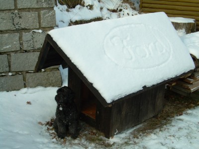 monty ford I.jpg