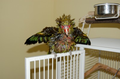 DSC_4772.jpg