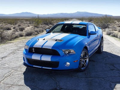 shelby.jpg