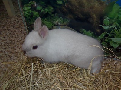 Obraz012.jpg