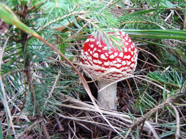 Ty jsou stejně nejhezčí.