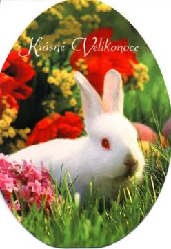 Krásné velikonoce.jpg