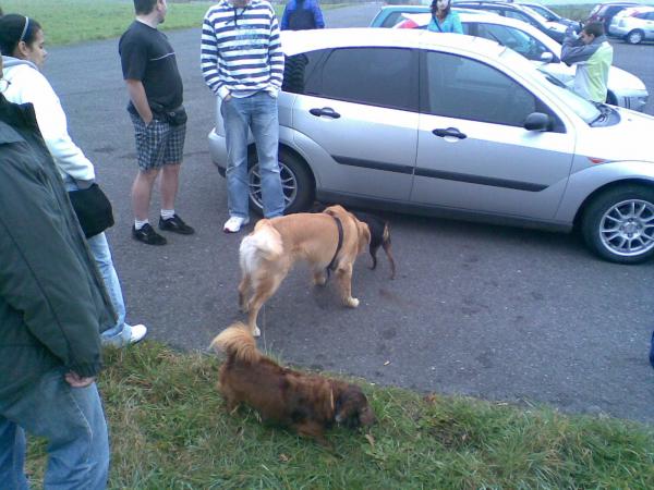 Tri kralove (resp. jeden kral a dva zadky)