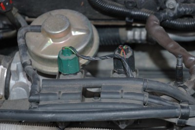 EGR-1-Small.jpg