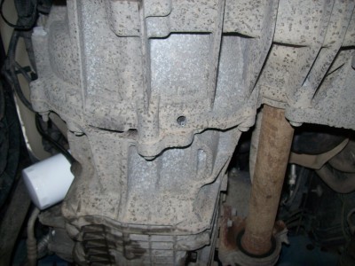 100_4778.jpg