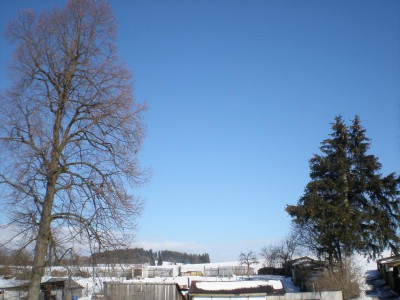 P2250440.JPG
