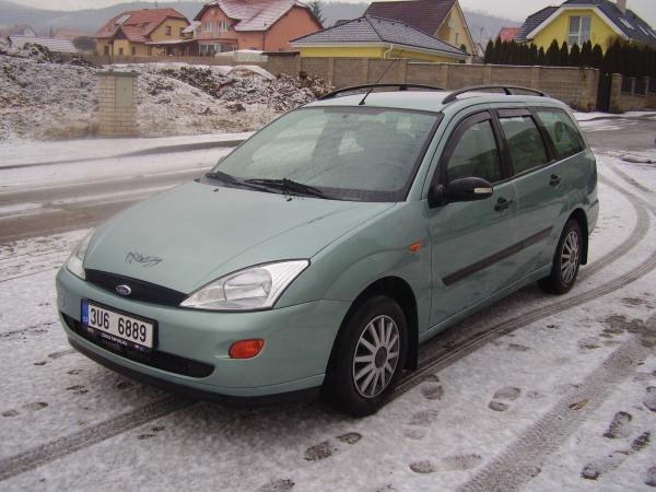 FoFo 003.jpg