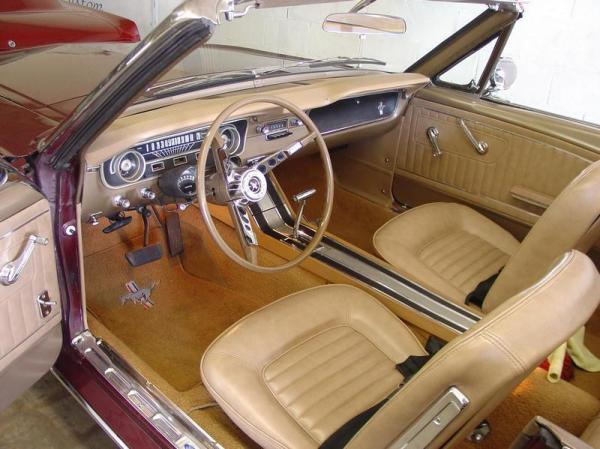 mustang6.JPG