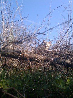 2010-04-22 17.50.27.jpg