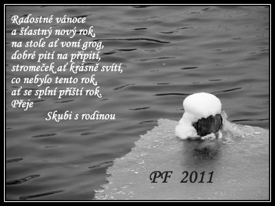 P.F. - 2011.jpg