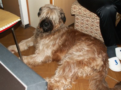 PICT0027.JPG
