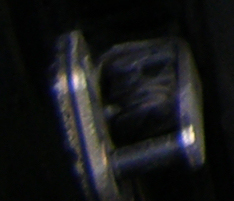 P8010204.jpg