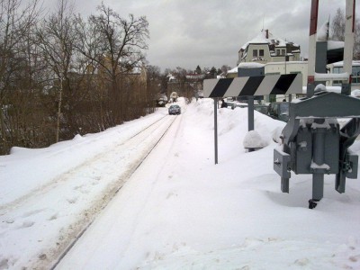 dáma na kolejích.jpg